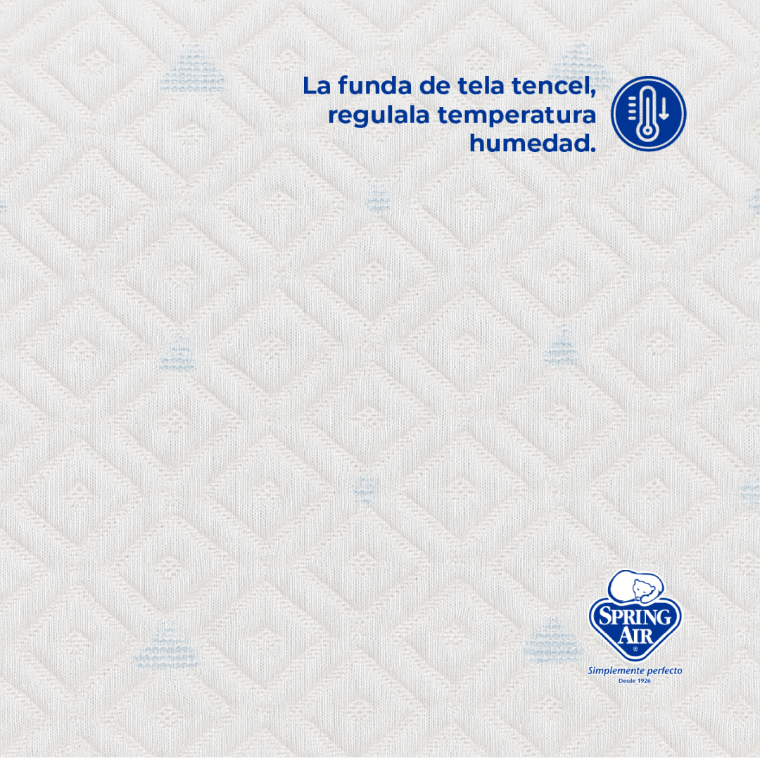 Pack 2 Almohadas Spring Air Cool Sleep Memory Foam