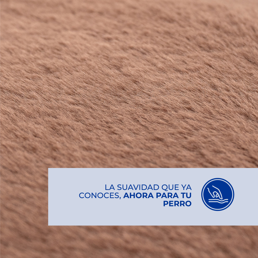 Cama De Perro Spring