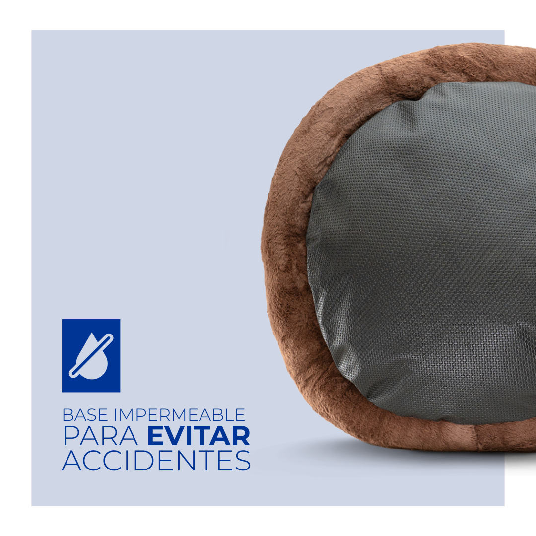 Cama De Perro Spring