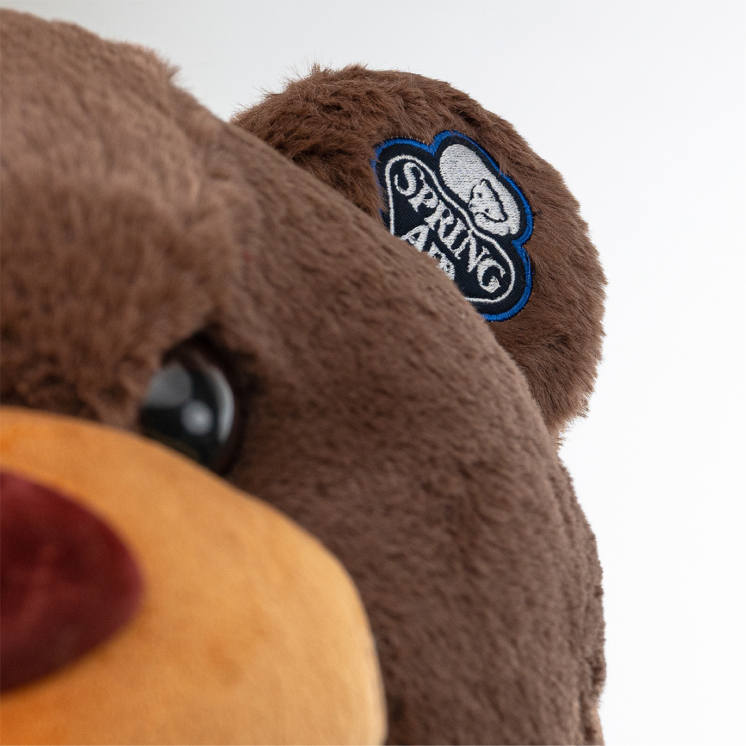 Cama De Perro Spring