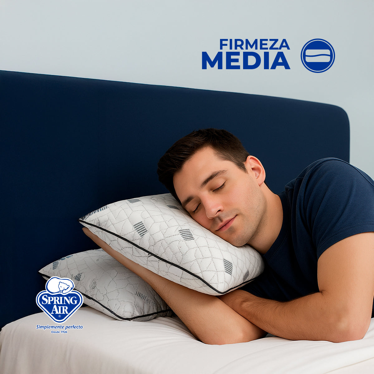 Shop Almohada Spring Air Memory Foam Almohada Almohada Luxe-Carbón